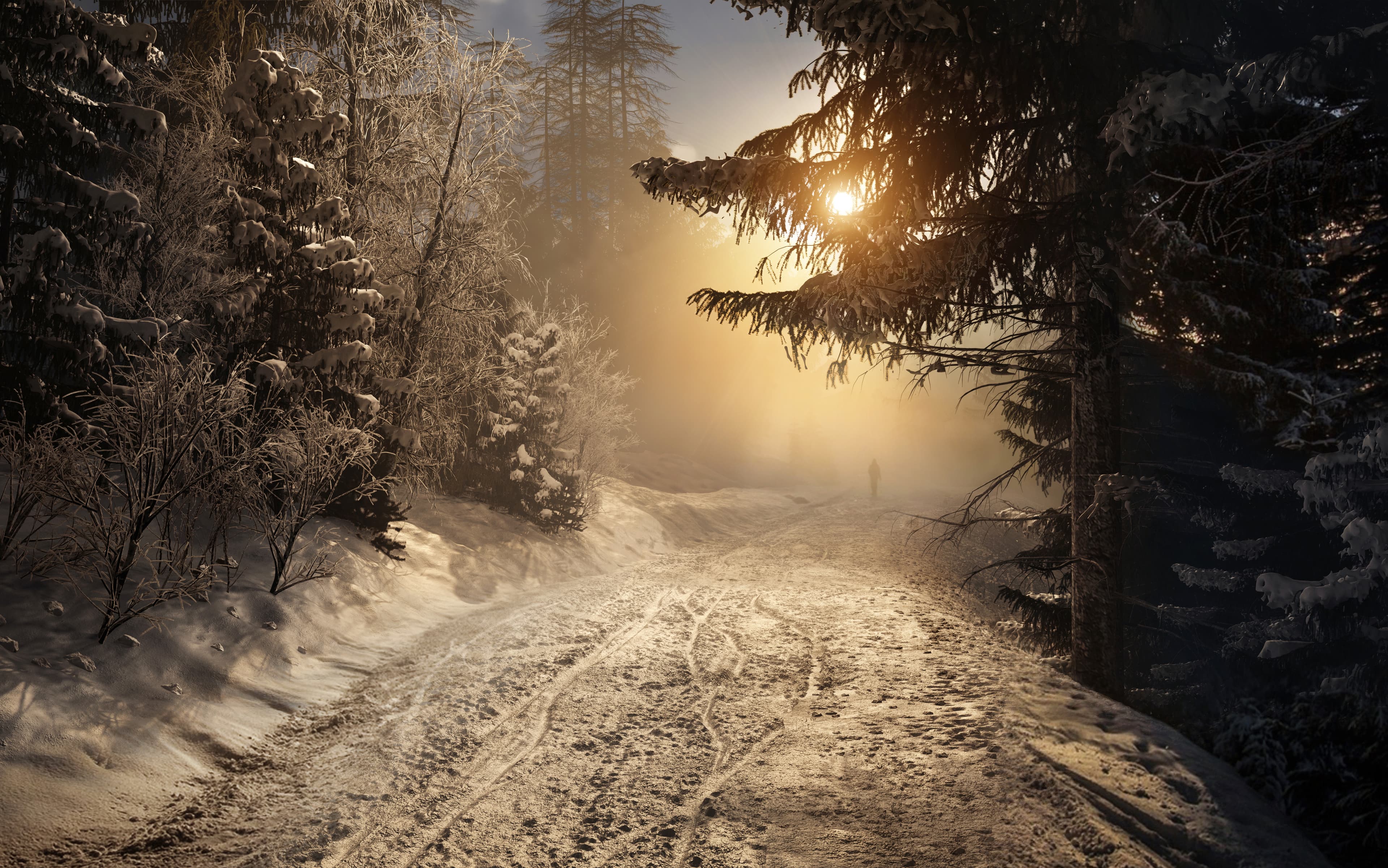 Forest Road
